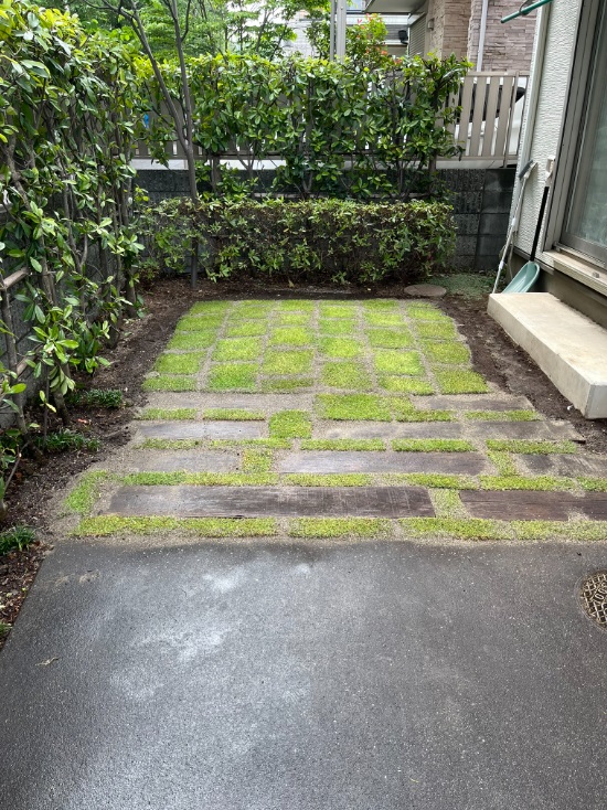 トヨタ自動車開発の芝苗TM9の植付
